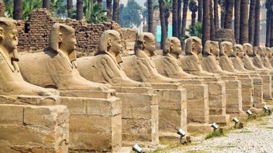 egypte_luxor_tempel-karnak_sphinxen_rij_b