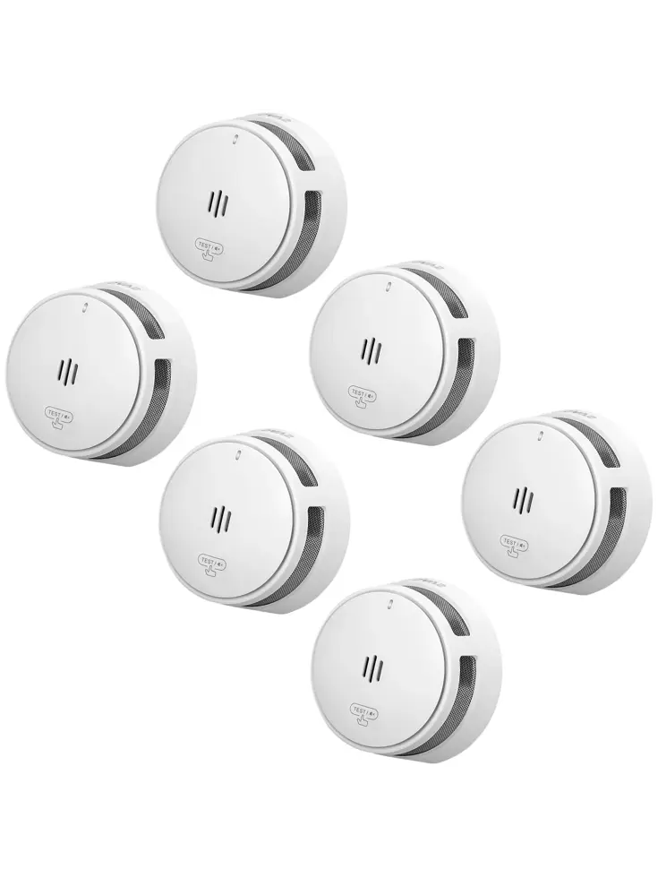 S10 Rookmelder 6-pack