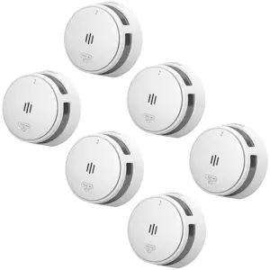 S10 Rookmelder 6-pack