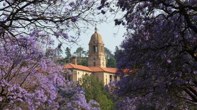 zuid-afrika_gauteng_pretoria_union buildings_bloesem_b