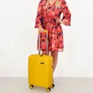 Beagles Travel PP - Handbagage koffer