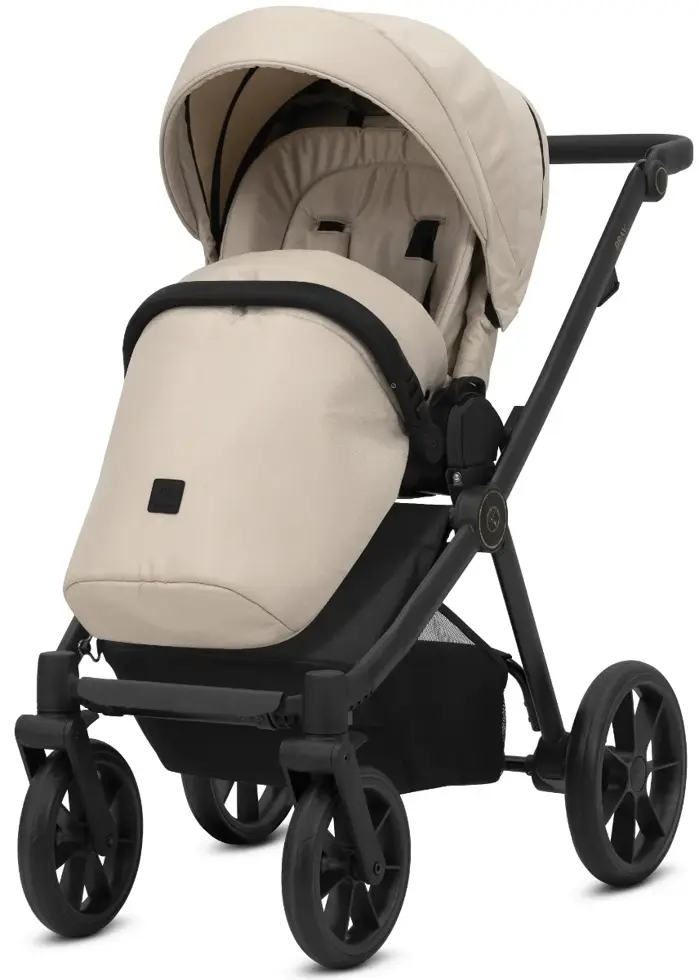Brav 2-in-1 Kinderwagen