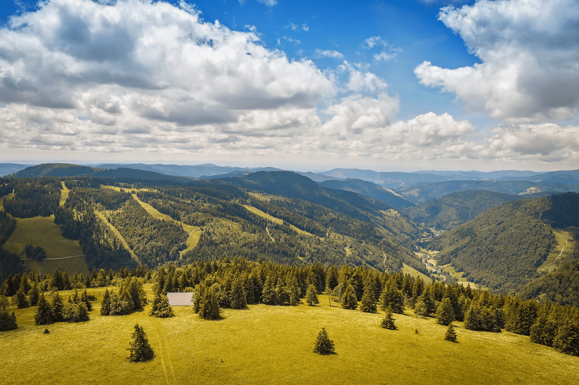 6-9-daagse rondreis - Zwarte Woud, Bodensee en Alpen afbeelding