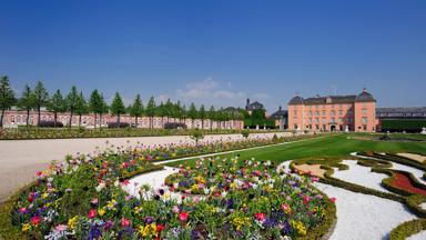 duitsland_baden-wurttemberg_schwetzingen_schloss-schwetzingen_paleis_tuin_bloem_CR-stadt-schwetzingen_tobias-schwerdt (1)
