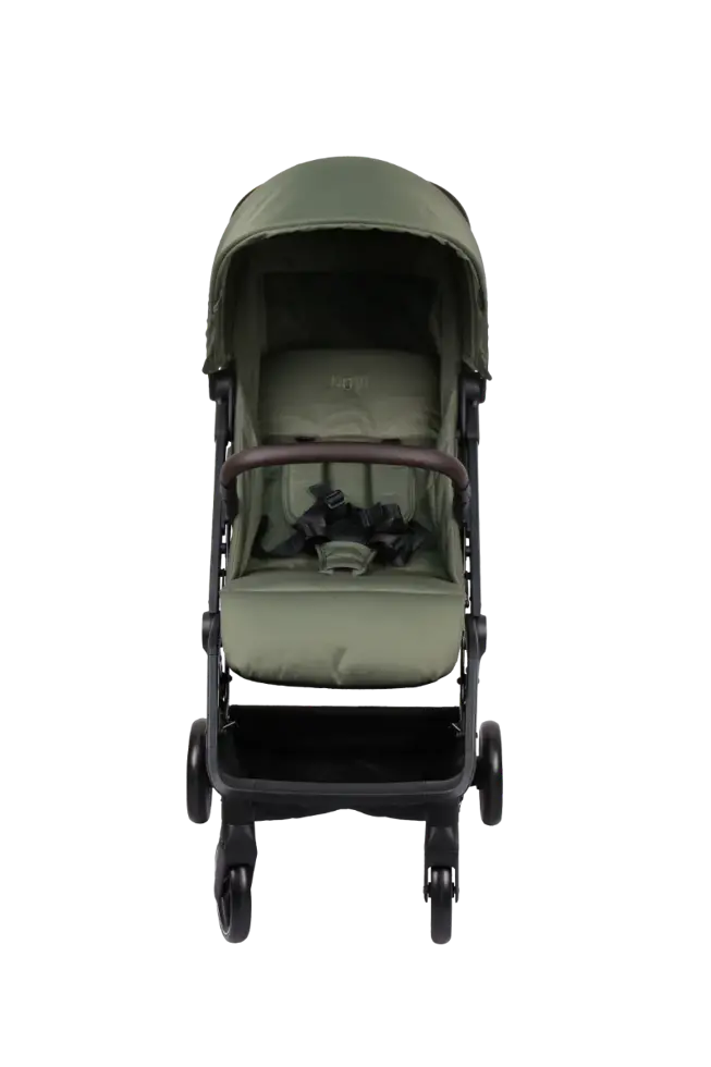 Cloud Go - Buggy