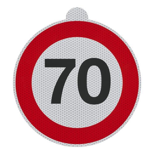 Snelheidssticker 70 - ANWB