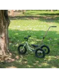 2-in-1 Loopfiets Driewieler met Duwstang
