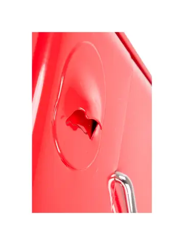 Koelbox Greenwich Rood 17L