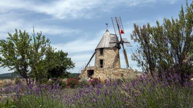 wandelrondreis_frankrijk_occitanie_pyreneeen_molen_lavendel_shutterstock