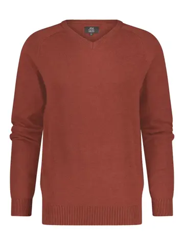 Vesper - Trui V-hals heren - Human Nature