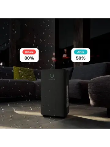 Vivid Zwart Luchtontvochtiger 12L per dag