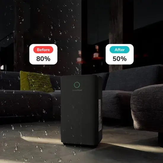 Vivid Zwart Luchtontvochtiger 12L per dag