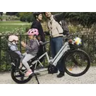 Alpa lichte transport ebike - Sum