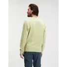 Harvey - Sweater heren – Human Nature