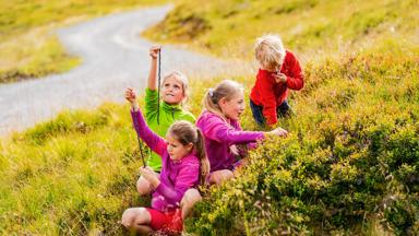 noorwegen_west-noorwegen_myrkdalen_kinderen-bessen-plukken_h