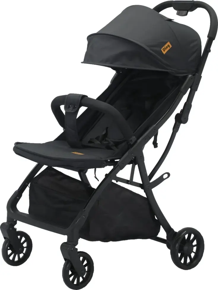 Ding Remi Wandelwagen