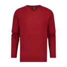 Vesper – Trui V-hals heren - Human Nature