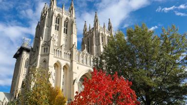 verenigde-staten_washington-dc_washington-national-cathedral_kerk_kathedraal_boom_herfst_shutterstock
