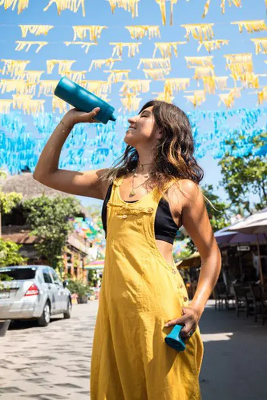 Lifestraw Go - RVS Waterfles 500ml