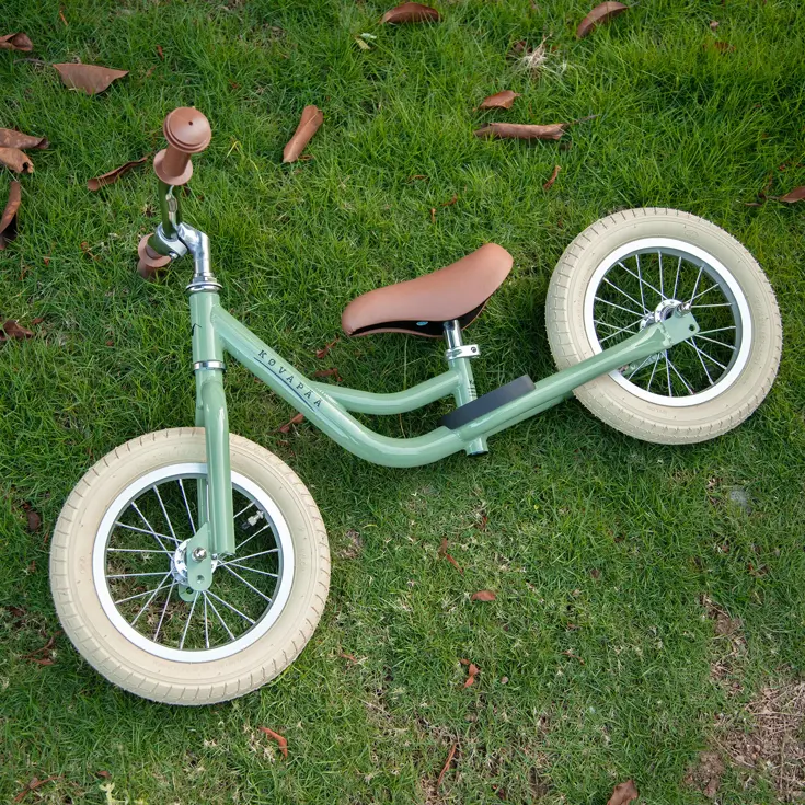 2-in-1 Loopfiets Driewieler met Duwstang