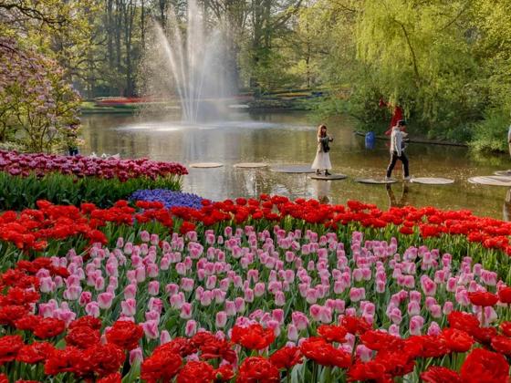 Impressie van Keukenhof