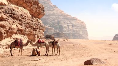 jordanie_wadi-rum-woestijn_kameel_rots_pad_shutterstock