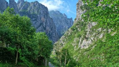 spanje_asturie_picos-de-europa_bergen_bergweg_bomen_pixabay