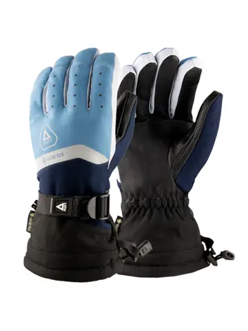 Skihandschoenen heren Perform Gore