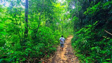 thailand_khao-sok-nationaal-park_jungle-trekking_man_shutterstock_445849348.jpg