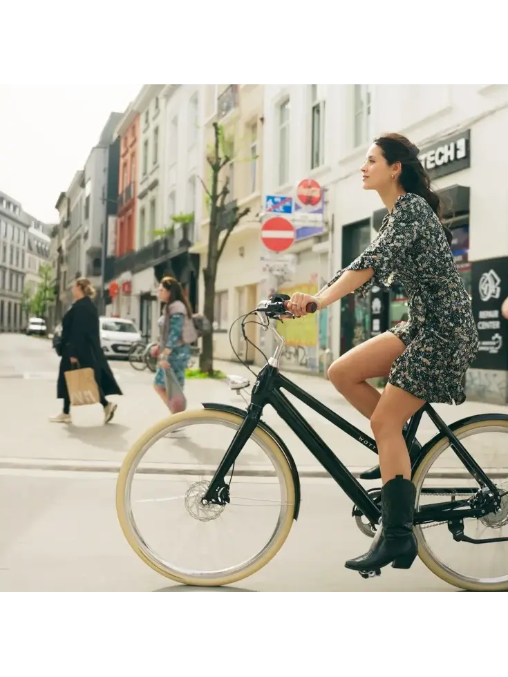 Dublin E-Bike Dames 54CM