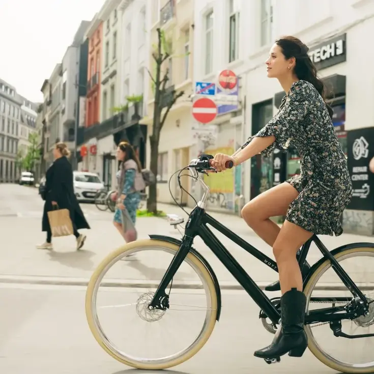 Dublin E-Bike Dames 54CM