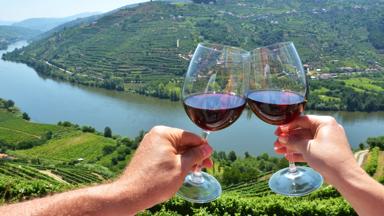 portugal_porto_douro-vallei_rivier_port_wijn_glazen_drank_wijngaard_shutterstock_1133162057