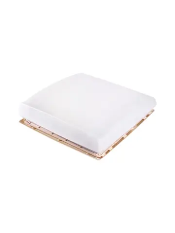 Translucent 2009 12V