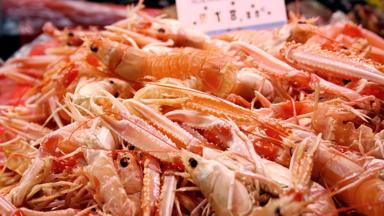 wandelrondreis_frankrijk_bretagne_s-cape_markt_garnalen_crt_bretagne