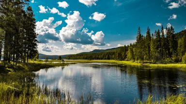 zweden_mora_meer_bos_shutterstock_1022391010