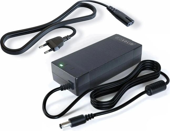 Lader geschikt voor Fiido C11 E bike 546V2A