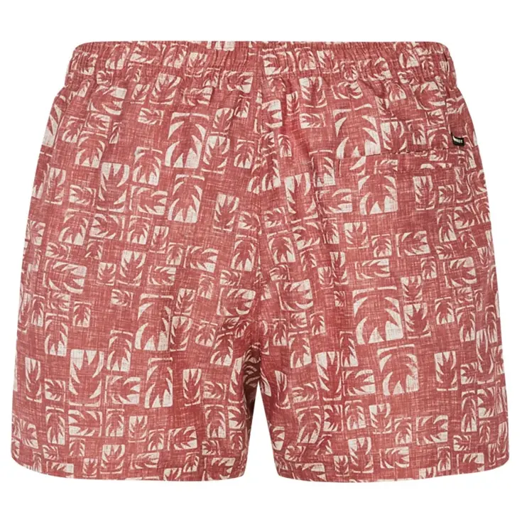 Zwemshort Tifton - Heren