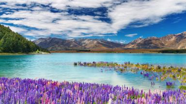 nieuw-zeeland_lake tekapo_b