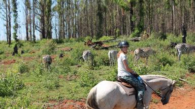 swaziland_mlilwane-wildlife-sanctuary_vrouw-op-paard_zebra_w