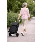 Boodschappentrolley 53L Zwart Met Wielen