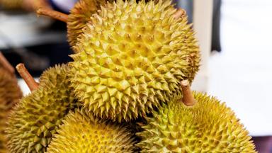 maleisie_west-maleisie_cameron-highlands_algemeen_fruit_durian_markt_2_kampioen-fotograaf-joris-van-drooge.jpg