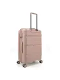 Straight-Line Medium Trolley  | 67 L
