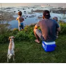 16QT Performance Tricolor Koelbox 15l