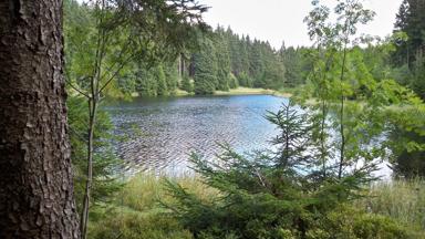 Duitsland_Harz_oberharzer-meer_a