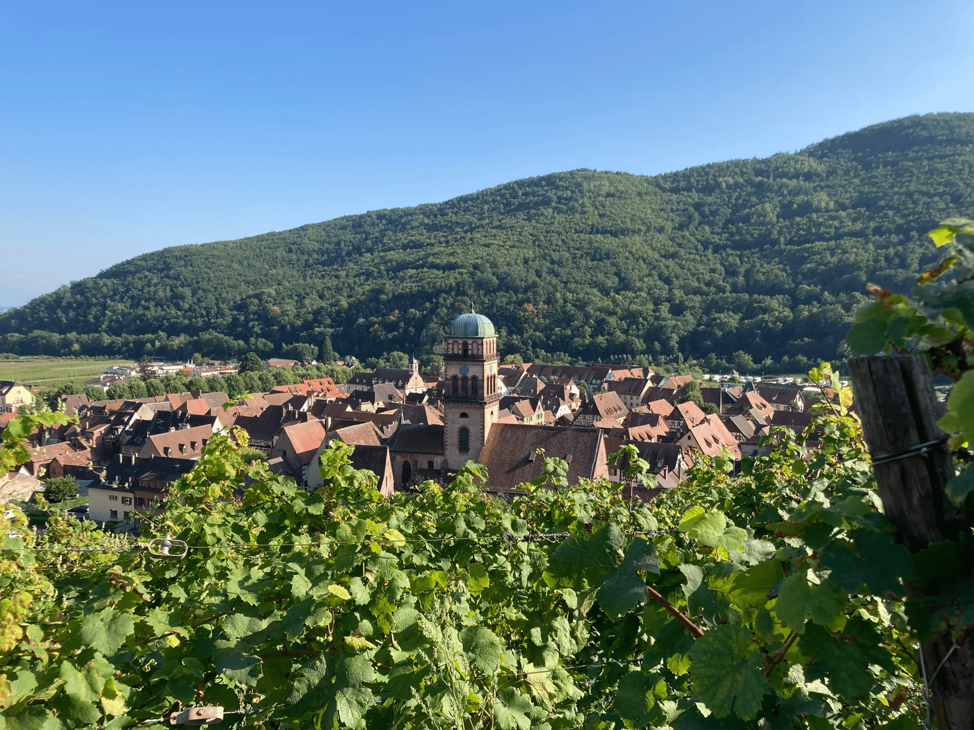 Rondreis 7-daagse autorondreis Charmes van Straatsburg & de Wijnroute van de Elzas in Diversen (Frankrijk, Frankrijk)