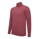 Heren Trento Coltrui