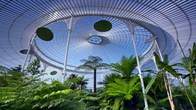 schotland_glasgow_botanische-tuin_palmhouse_getty