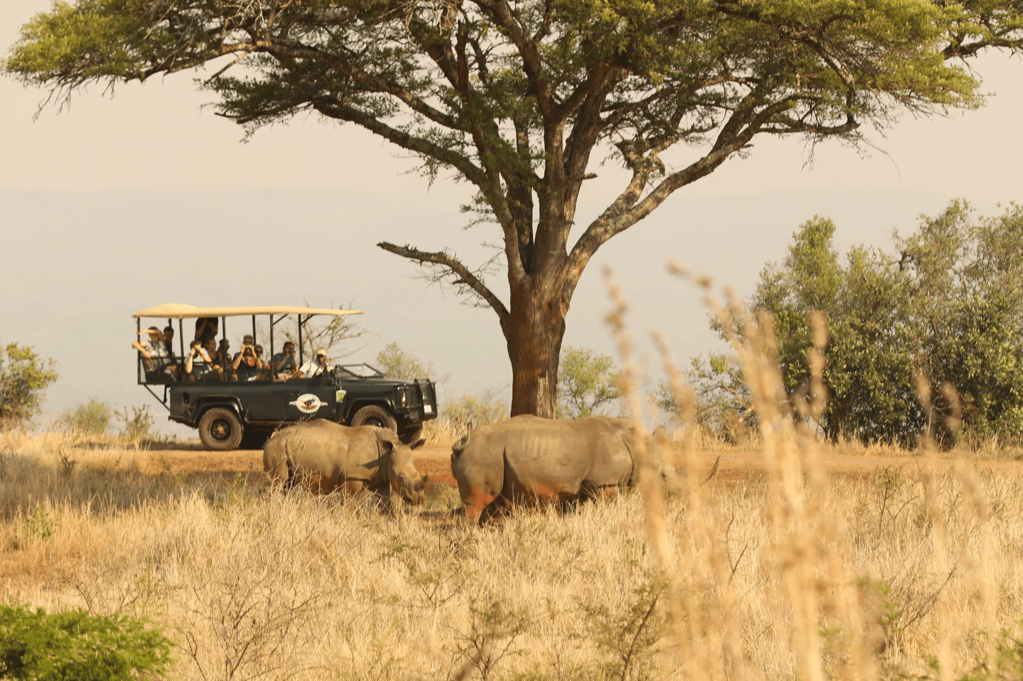 Rondreis 15-daagse privérondreis Hoogtepunten van Zuid-Afrika met huurauto in Diversen (Zuid-Afrika, Zuid-Afrika)