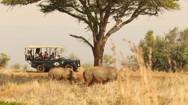 zuid-afrika_kwazulu-natal_hluhluwe-imfolozi-national-park_witte-neushoorn_gamedrive_mensen_safari_w