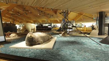 noorwegen_spitsbergen_longyearbyen_svalbard-museum_6955